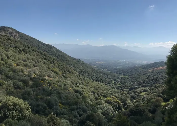 Eli&lou Avec Piscine *